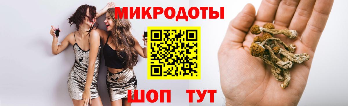 Галлюциногенные грибы Psilocybe  Вход с VPN  Новокуйбышевск 